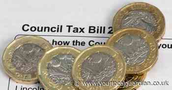 How can I reduce my council tax bill? You could claim 100 per cent back - see how