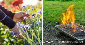 These are 5 'innocent' ways you could be breaking the law this summer