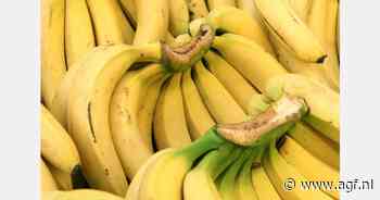 RASFF: Chloorpyrifos in bananen uit Ecuador