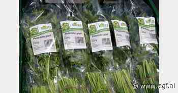 "Continu grote vraag naar snijkruiden"