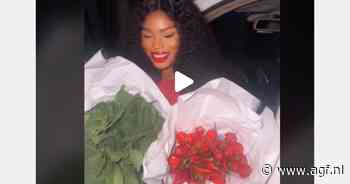 Uniek cadeau van verse paprika's en groenten