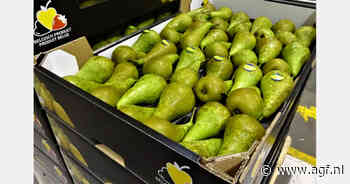 "Oude voorraad en vroeg geplukte nieuwe Conference zorgen voor wat druk op de Corina oogst"