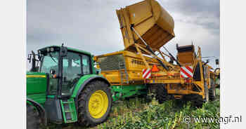 "Hollands suikermaisseizoen van start, maar voorraden niet oneindig"