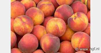"Perzik en de nectarine hebben hun eigen smaakprofiel"