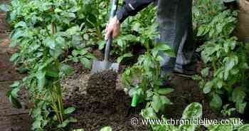 Five laws you could be breaking around your home without knowing that can result in huge fines