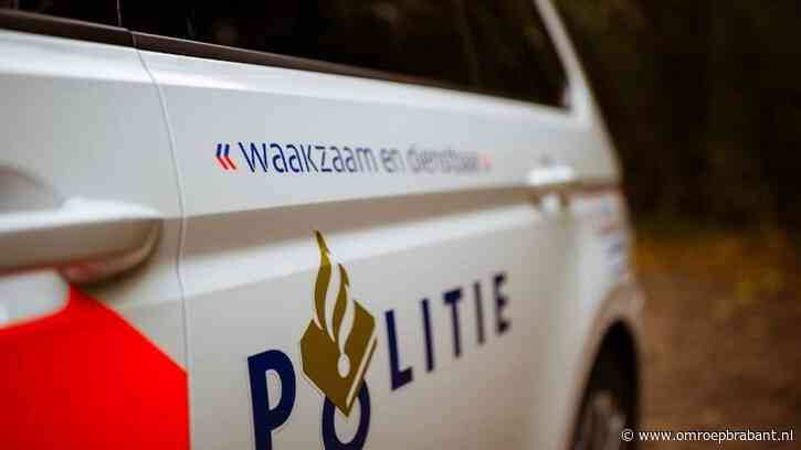 Kindje hangt staand met hoofd uit auto op snelweg, forse boete