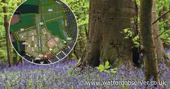 Developers eye new 600-home scheme near 'ancient' beauty spot