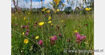 10.001e hectare in zicht voor Kruidenrijk Grasland