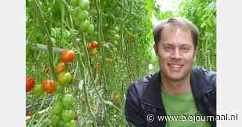 “Gebrek aan zon in het voorjaar speelt Belgisch biologisch kasgroentenseizoen parten”