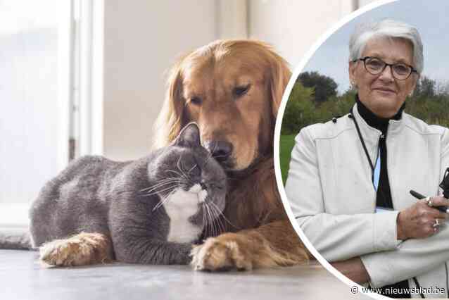 Hier krijgen overleden dieren een herdenkingsplek op begraafplaats: “Het verlies van een huisdier kan heel hard aankomen”