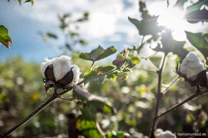 Aid by Trade Foundation blickt auf erfolgreiches Jahr 2023 zurück