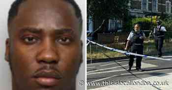 Man wanted after fatal stabbing was involved in crash as he fled police