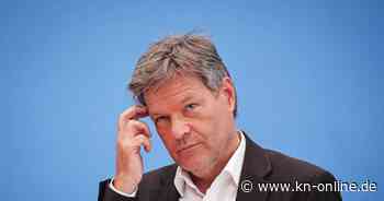 Energieberatung: Bundeswirtschaftsministerium kürzt Zuschüsse der Förderung