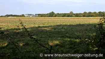 Heiße Diskussion um Wolfsburger Gewerbegebiet-Ausbau erwartet