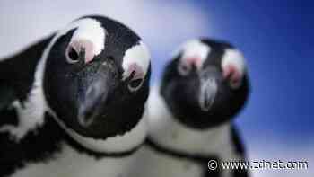 5 best Linux commands for troubleshooting problems (and how I use them)