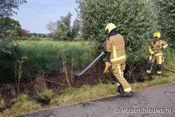 Stuk natuurgebied in de brand langs de Westlaan in Velserbroek