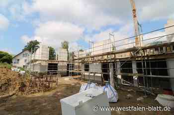 Doch keine Seniorenwohnungen auf Seippel-Gelände in Spenge