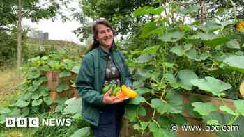 New garden space for green-fingered volunteers