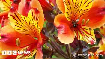 Your photos as the nation basks in sunshine