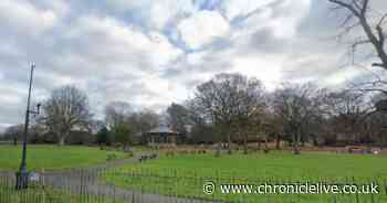 Second teenager arrested on suspicion of violent disorder after bricks thrown at police in Darlington