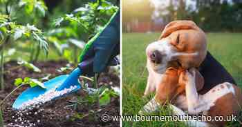 'Crucial' plant fertilizer warning to dog owners amid vomit and seizure risk