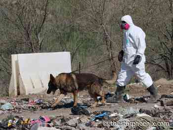 Search of Saskatoon landfill found remains of Mackenzie Trottier: police