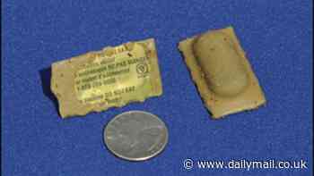 If your child picks up one of these in the woods, take them to a doctor immediately