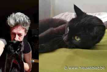 Kat Poekie (18) leek 23 dagen spoorloos, tot ze weer opdook... 120 kilometer verder: “Ik kon het bijna niet geloven”