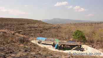 Fossils suggest even smaller ‘hobbits’ roamed an Indonesian island 700,000 years ago