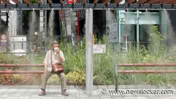 Heetste juli ooit in Tokio kostte meer dan 120 mensen het leven