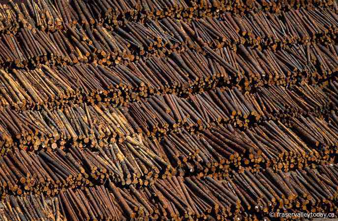 Audit of BC Timber Sales program finds issues with road and bridge maintenance