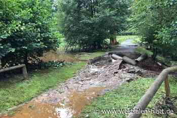 Nach Unwetter: Tierpark Sababurg weiter gesperrt