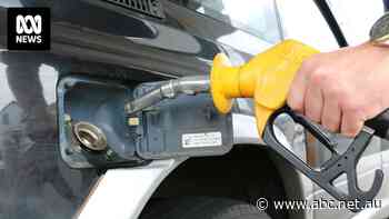 Brisbane has Australia's longest fuel cycle. Will a plan to limit price hikes to 5c a day change this?