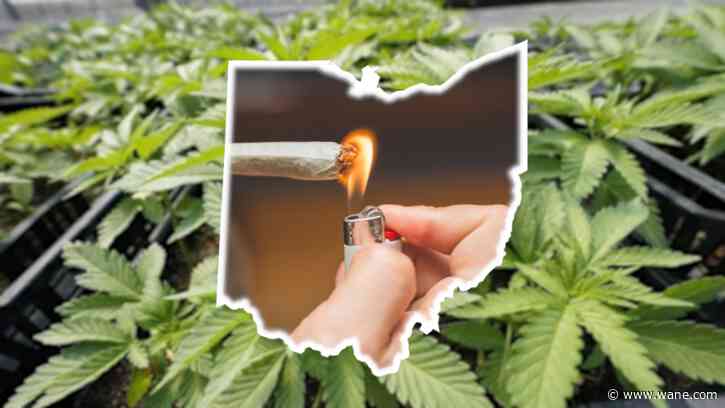 Ohio marijuana dispensaries officially open for recreational customers