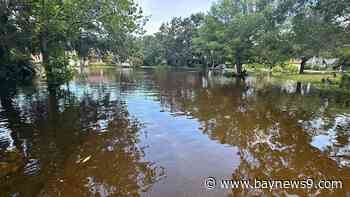 Sarasota police conduct about 500 water rescues during flooding