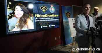 Toronto man wanted for alleged Elnaz Hajtamiri abduction arrested in U.S.