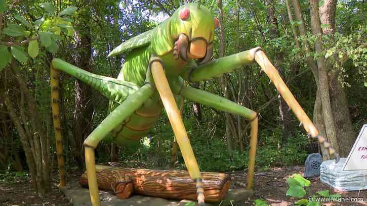 Wild on WANE: The Big Bugabaloo is larger than life!