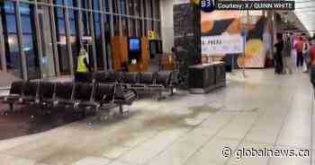 Traveller describes pouring water, falling ceiling tile at storm-hit Calgary airport