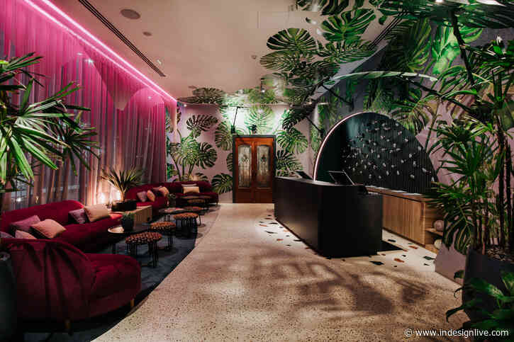 From wanderlust to design wonderland: Ovolo hotels celebrate the joy of travel