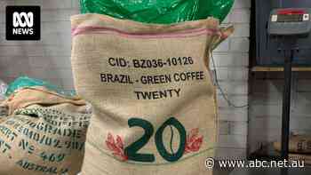 Importing coffee beans into Australia has never been more expensive. Here's what that means for your daily fix
