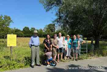 Buurt blijft zich verzetten tegen komst tennis- en padelterreinen: “Er zijn hier toch nog andere recreatieve mogelijkheden?”