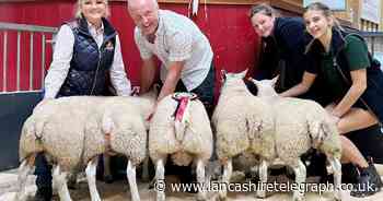 Double win for Darwen farmers at weekly lamb and sheep market