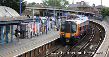 Trust to 'revitalise' nature around railway stations