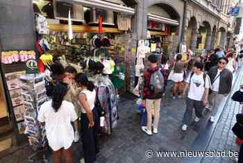 Brusselse wetgeving over Airbnb-verblijven aangevochten voor Grondwettelijk Hof