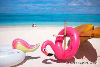 Volop zomer! Volgende week tropische hitte verwacht