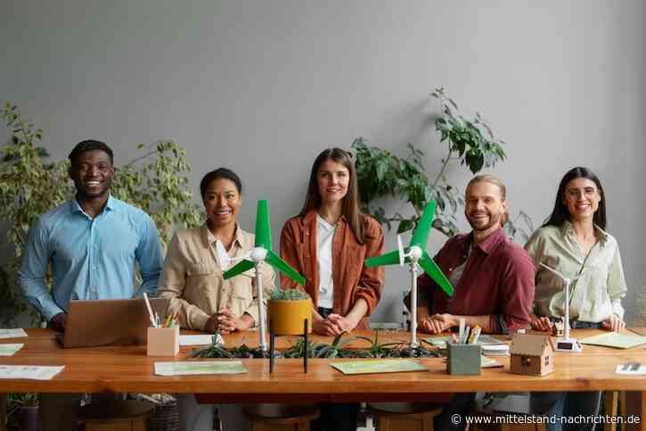 Wie funktioniert Nachhaltigkeit in Unternehmen – ganz ohne Greenwashing?