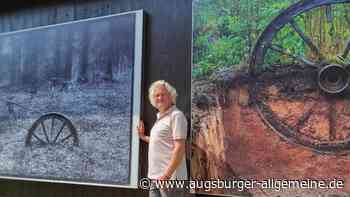 Kunst am Bauzaun: In Steinheim gibt es faszinierende Fotografien unter freiem Himmel zu sehen