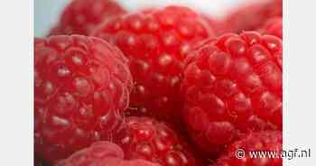 "De spagaat tussen houdbaarheid en kwaliteit"