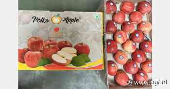 "Beschikbaarheid van hoogwaardige exportappelen is een grote uitdaging geweest"