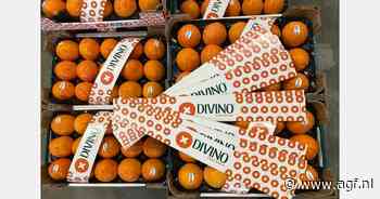 Divino breidt kakiteelt in Italië verder uit